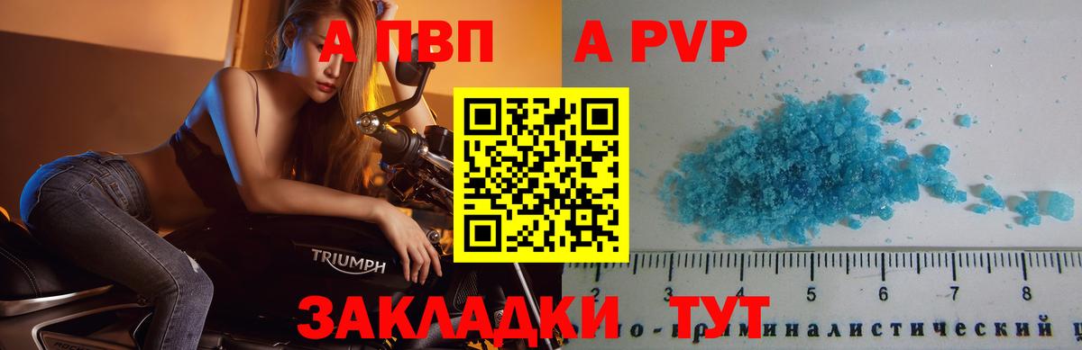 A-PVP VHQ Курчалой
