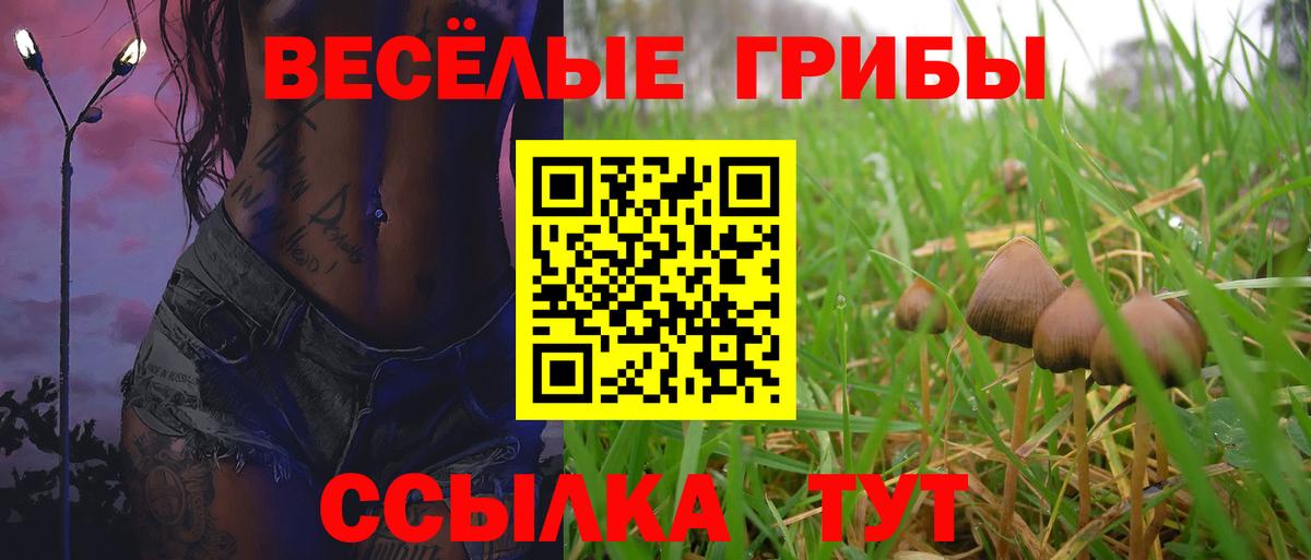 Галлюциногенные грибы мухоморы Курчалой